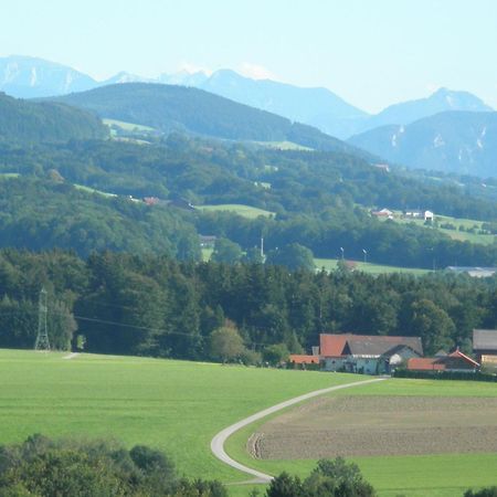 Landgasthof Franz Josef Strasswalchen Exteriér fotografie