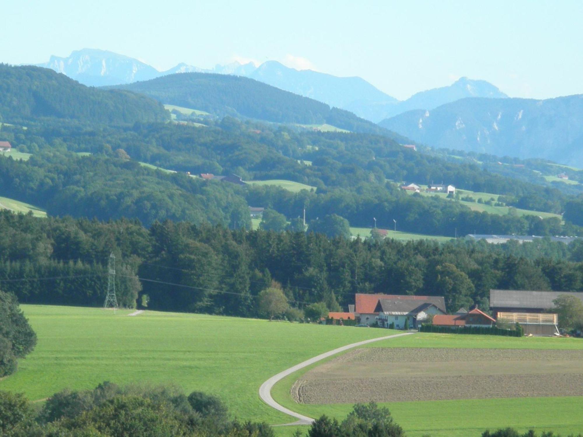 Landgasthof Franz Josef Strasswalchen Exteriér fotografie